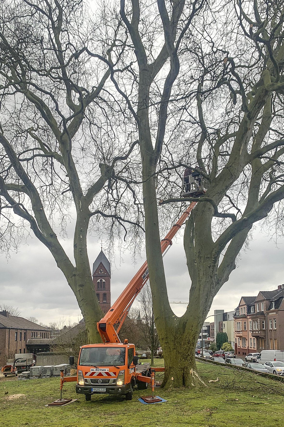 Baumschnitt-Dortmund-Bild1