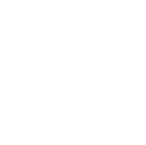 Icon-Check-Kreis-weis